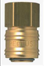 RECTUS 1/4 DİŞİ ÇABUK REKOR GÖVDE