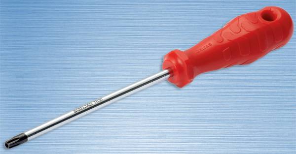 TORX UÇLU TR 27 DELİKLİ TORNAVİDA