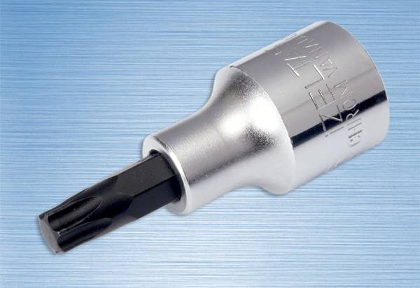 LOKMALI TORX UÇ T 25